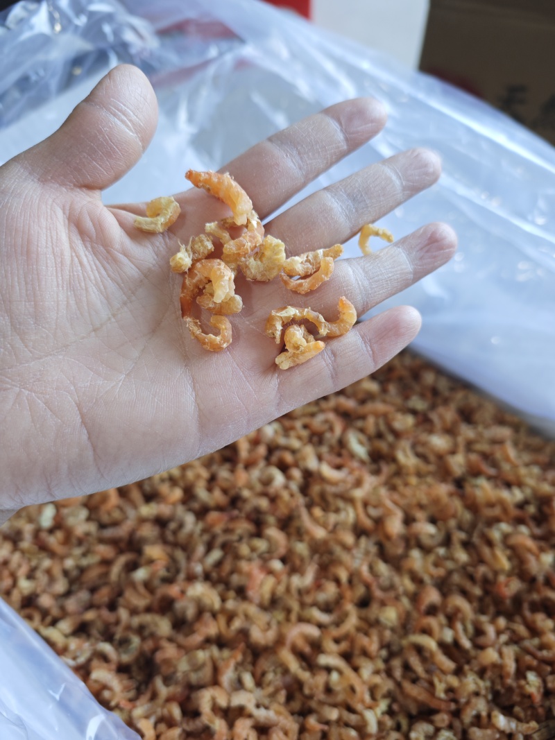 金钩虾仁海米原干米干度好大量有货