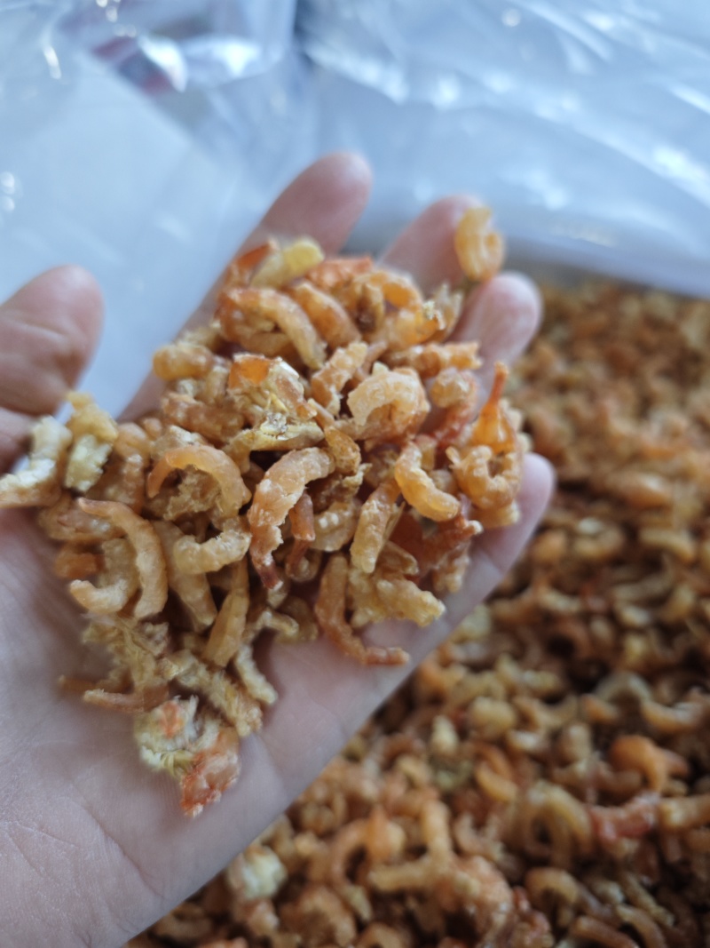 金钩虾仁海米原干米干度好大量有货