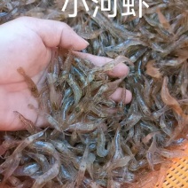 河虾有货