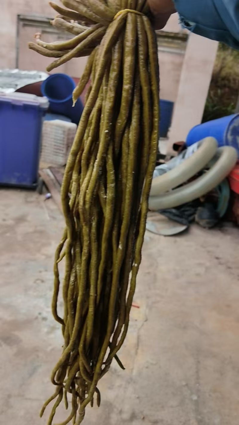 酸豇豆