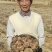 山东临沂精品芋头8520上市对接各大市场商超来电洽谈