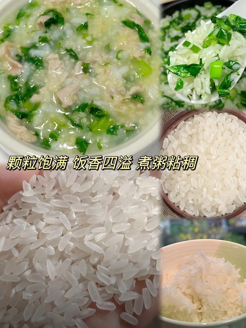 黑龙江长粒香大米