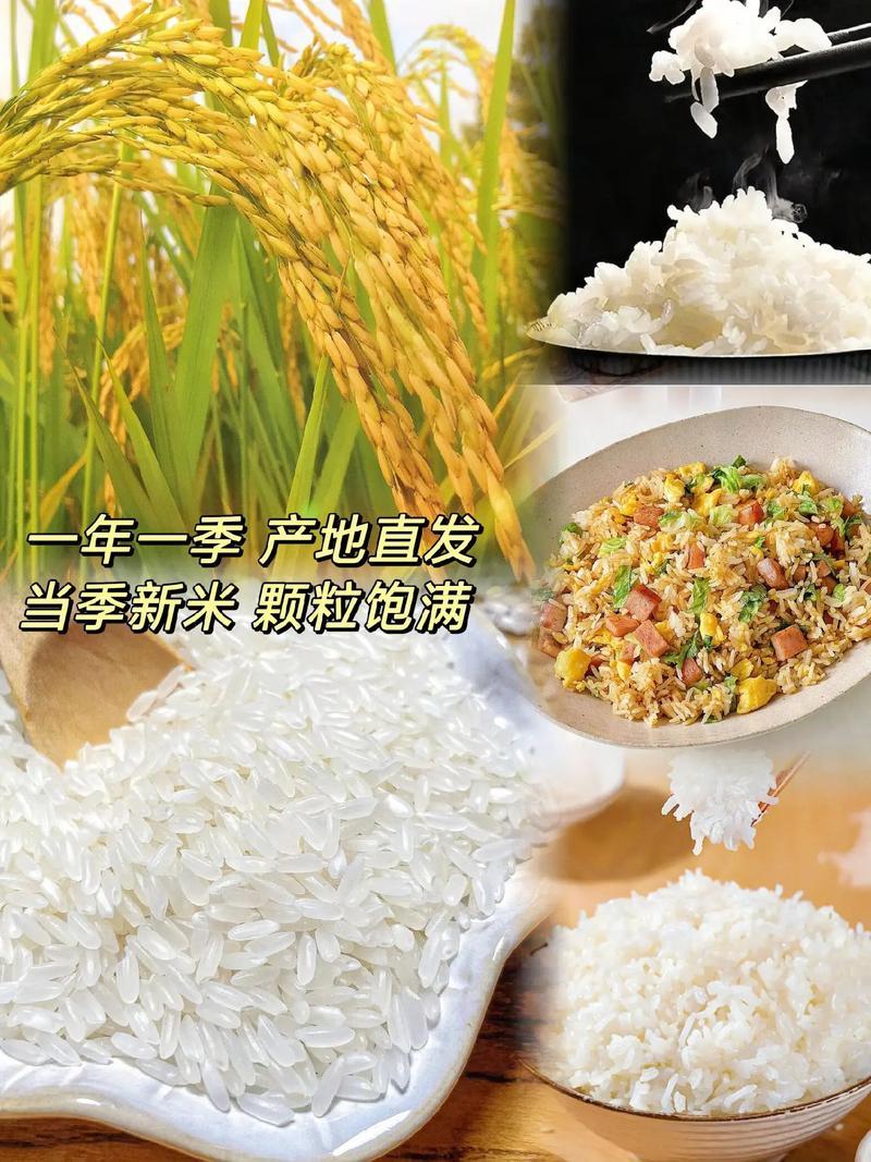 黑龙江长粒香大米