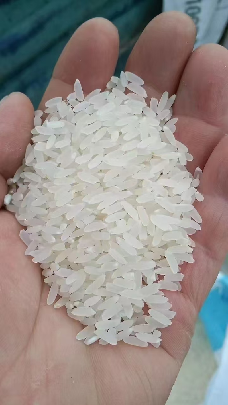 黑龙江长粒香大米