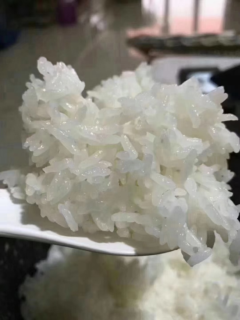 黑龙江长粒香大米