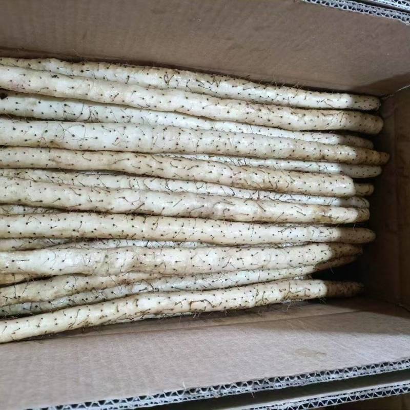 精品小白嘴山药，河北山药产地直发货量充足