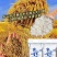 一级长粒香大米