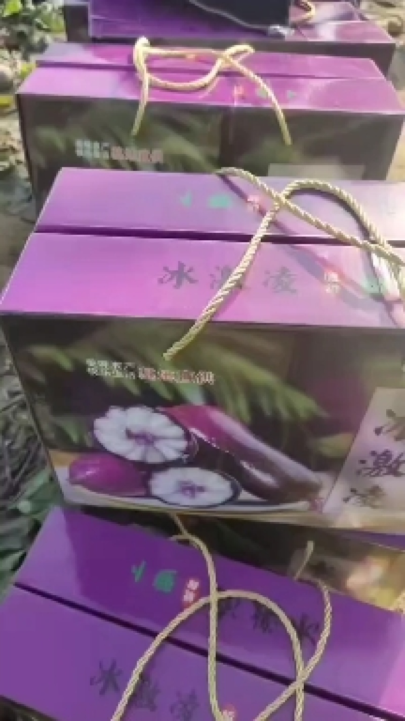 紫美冰激凌萝卜/山东萝卜/皮薄脆甜/个头均匀/颜色好看