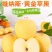 维纳斯黄金苹果苹果新鲜