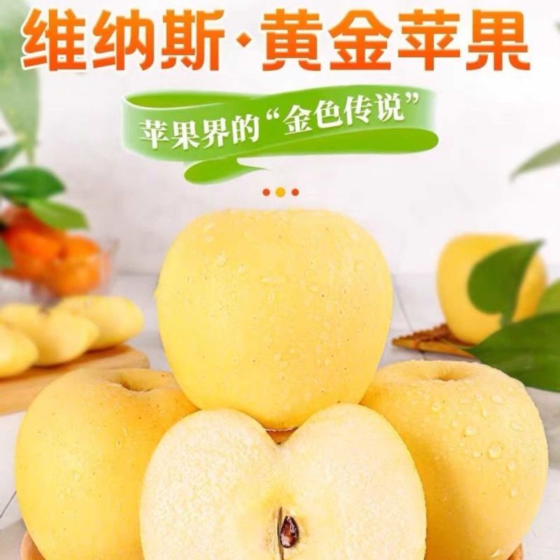 维纳斯黄金苹果苹果新鲜