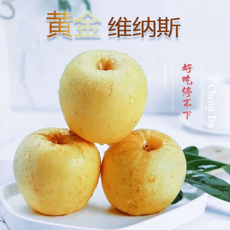 维纳斯黄金苹果苹果新鲜