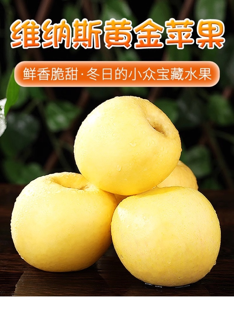 维纳斯黄金苹果苹果新鲜