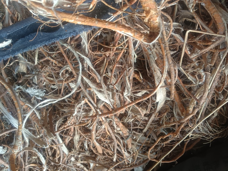 桑树根皮山东临沂联系电话***********
