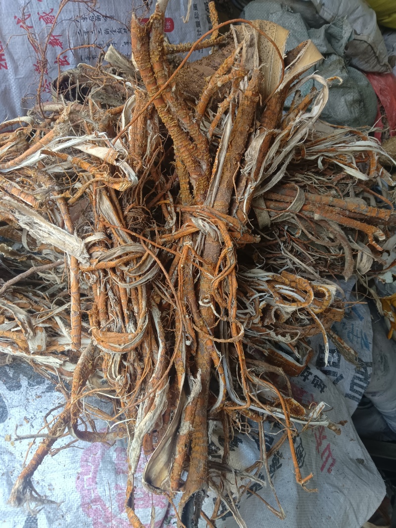 桑树根皮山东临沂联系电话***********