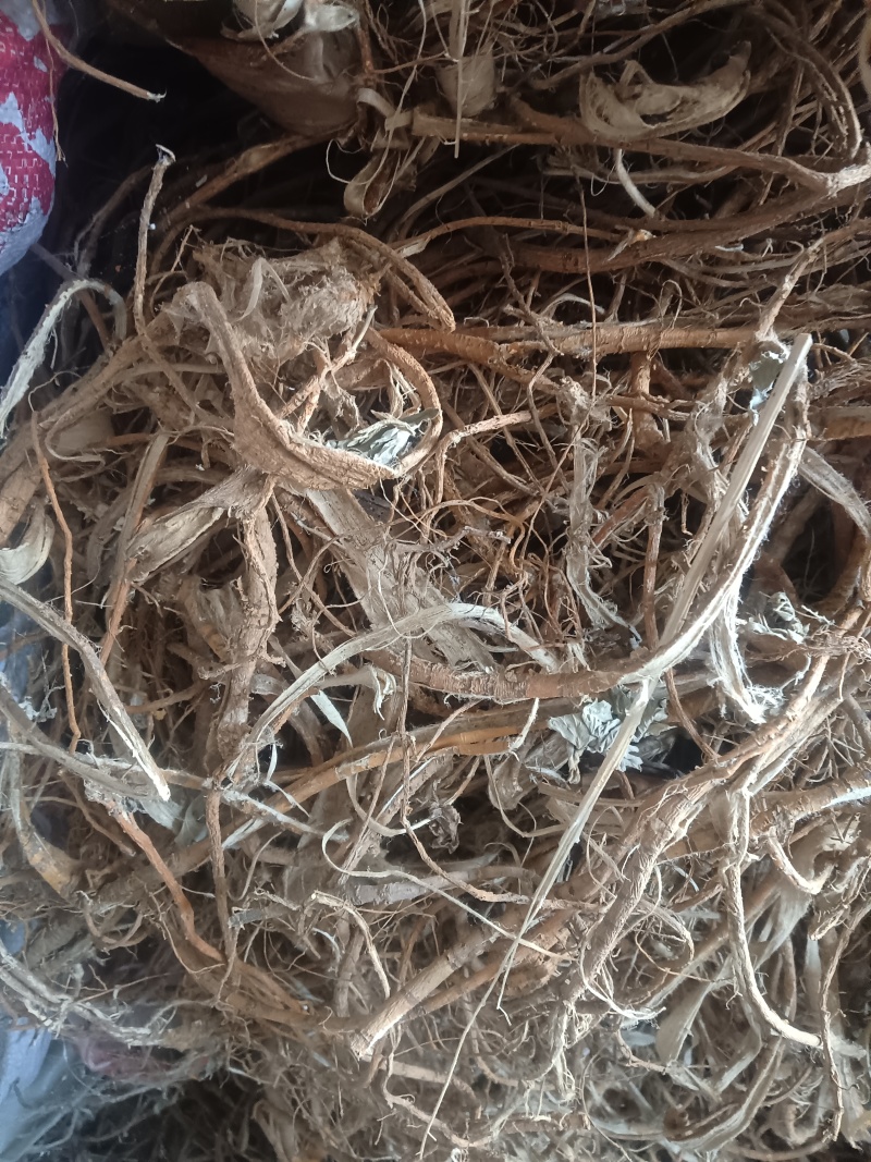 桑树根皮山东临沂联系电话***********