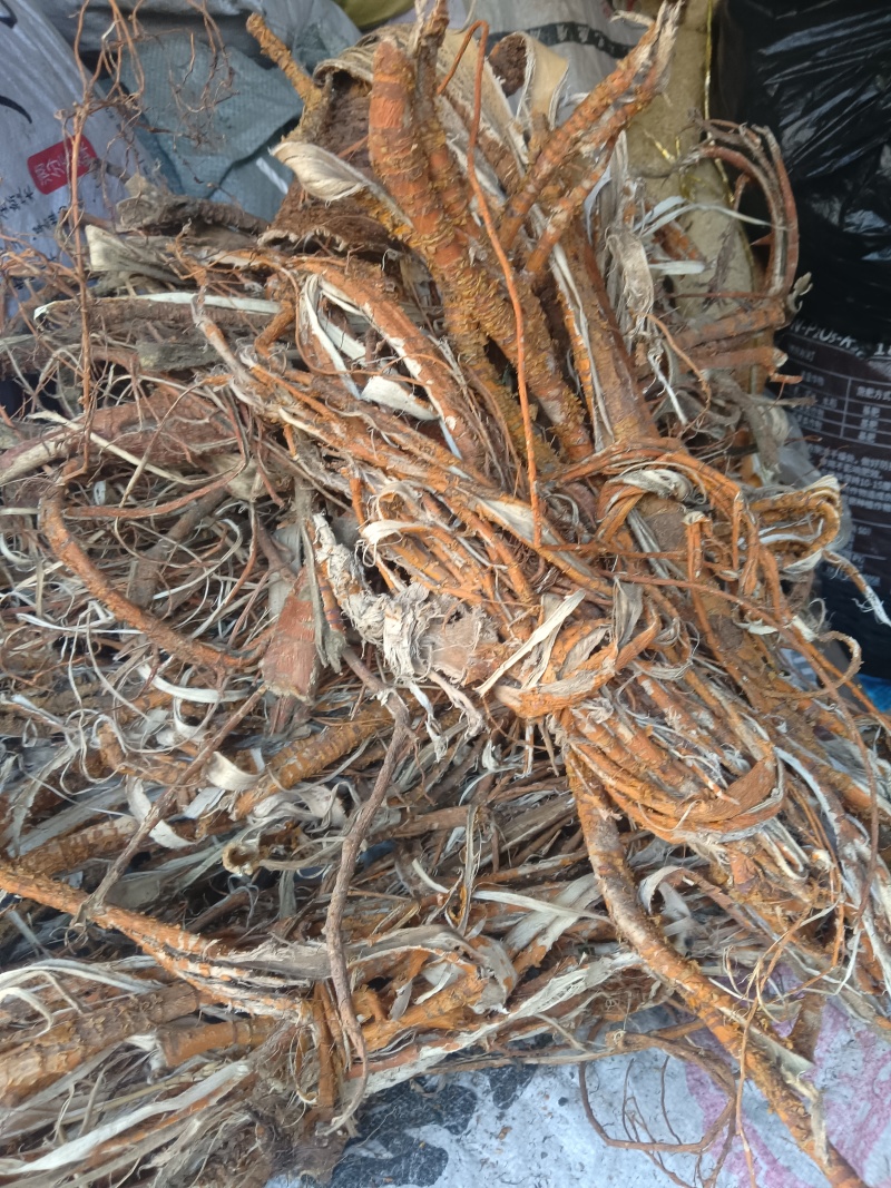 桑树根皮山东临沂联系电话***********