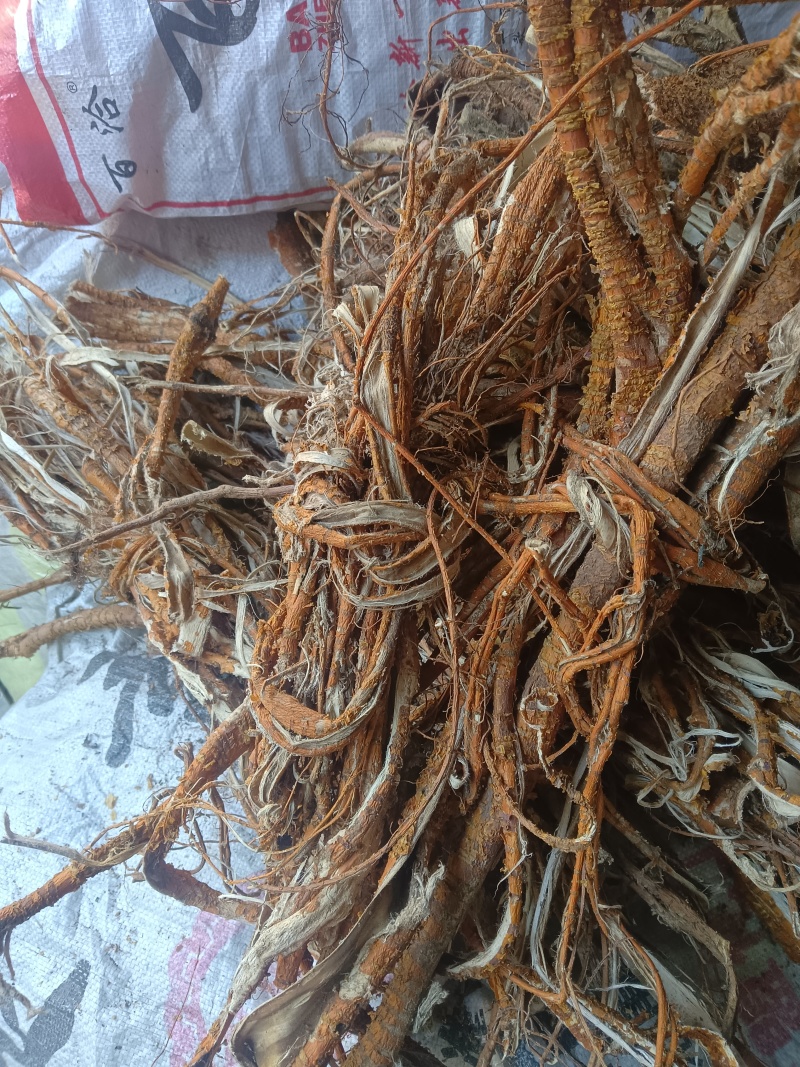 桑树根皮山东临沂联系电话***********