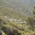 大山深处天然野生百花蜂蜜药材花蜂蜜一年一次采集无人居森林