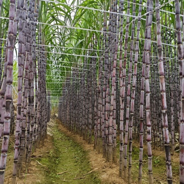 电商货大量上货