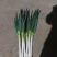 【铁杆大葱】陕西大葱条形好打捆葱白长净菜毛菜都有按需求分拣