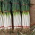 【铁杆大葱】陕西大葱条形好打捆葱白长净菜毛菜都有按需求分拣