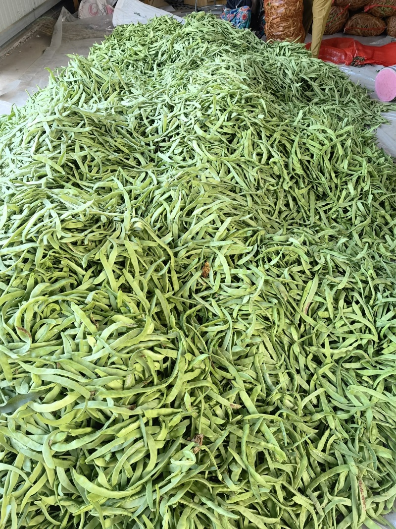 扁青角子