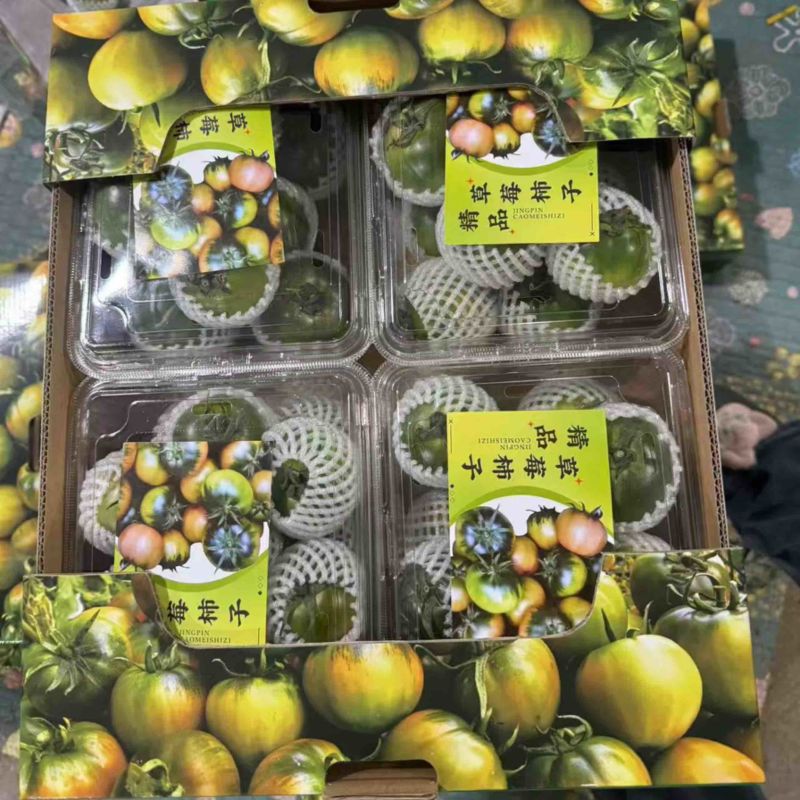 草莓西红柿草莓柿子口感好现摘现发诚信经营欢迎联系