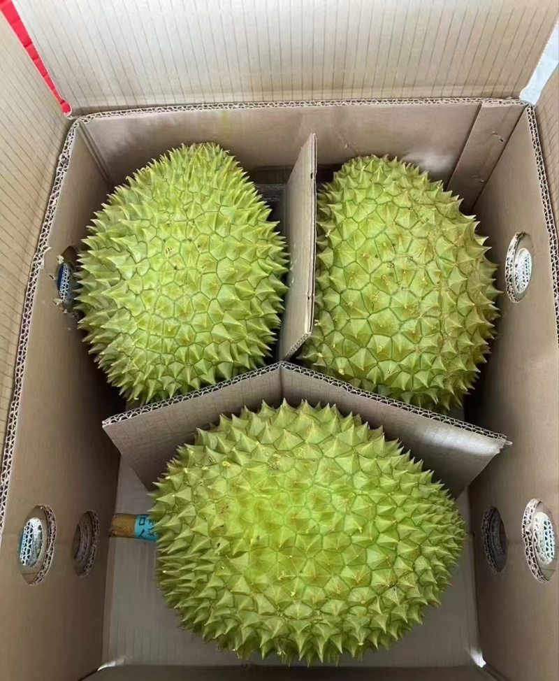 干尧