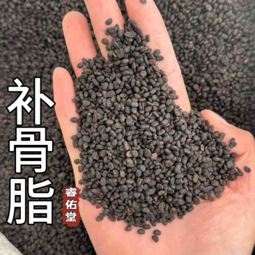 补骨脂盐炒补骨脂新货超干净破骨脂破故子黑故子