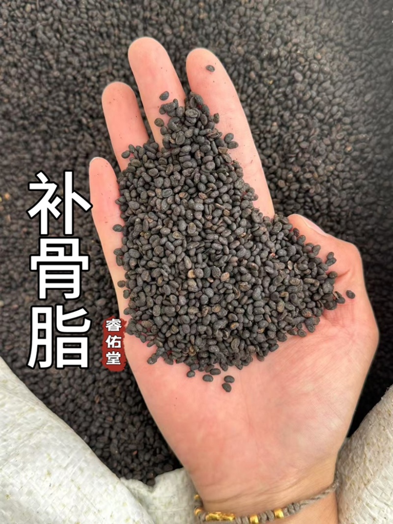 补骨脂盐炒补骨脂新货超干净破骨脂破故子黑故子