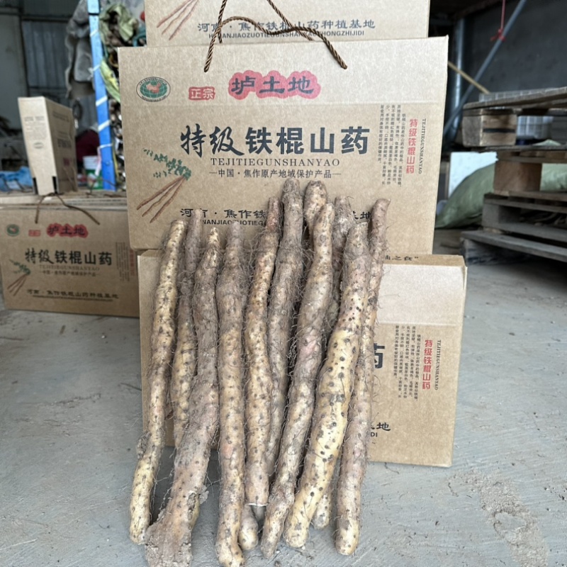 温县垆土地铁棍山药40厘米长礼盒5斤装