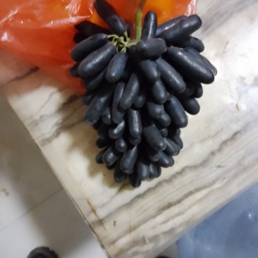 宾川错季蓝宝石以少量上市，品质保证，口感好