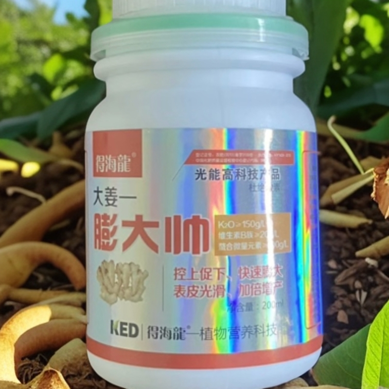 大姜土豆膨大剂膨大素膨大果实控上促下膨大果实