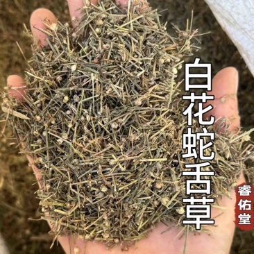 白花蛇舌草发货前过筛干净无硫蛇舌草实拍发货如图