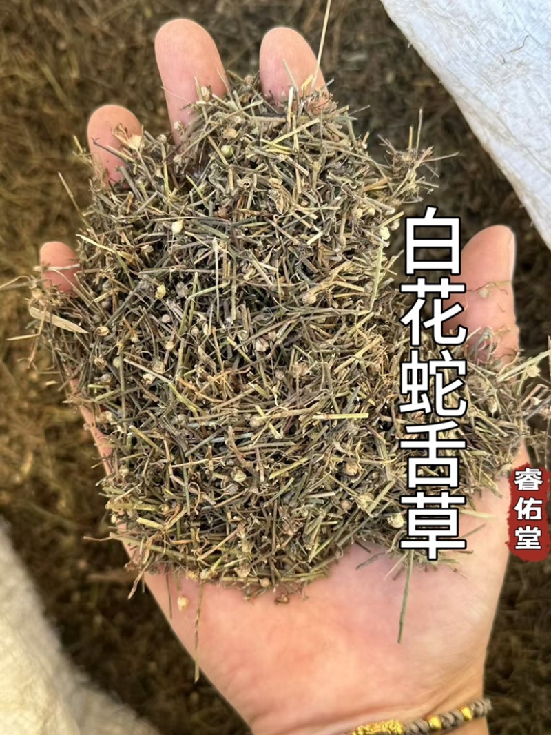 白花蛇舌草发货前过筛干净无硫蛇舌草实拍发货如图