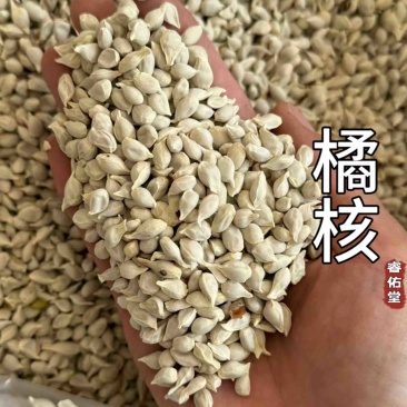 橘核无硫新货橘子籽橘子核桔子核现货超干净