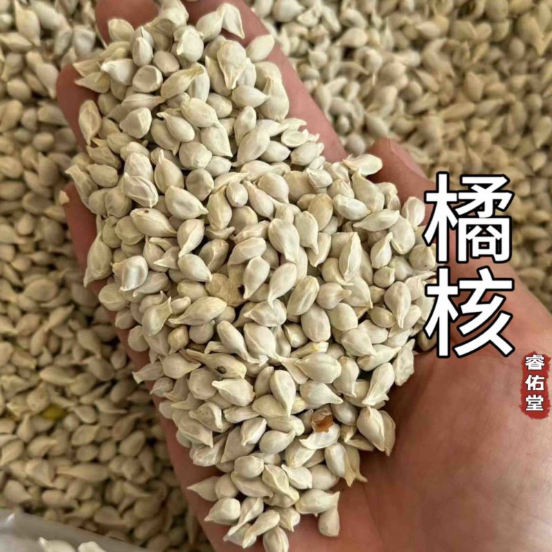 橘核无硫新货橘子籽橘子核桔子核现货超干净