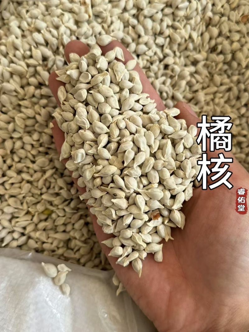 橘核无硫新货橘子籽橘子核桔子核现货超干净