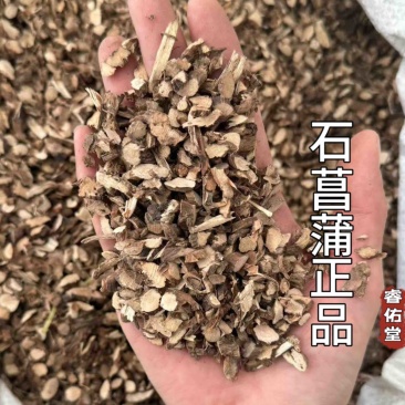 正品石菖蒲非水菖蒲现货无硫干净无杂质发货如图