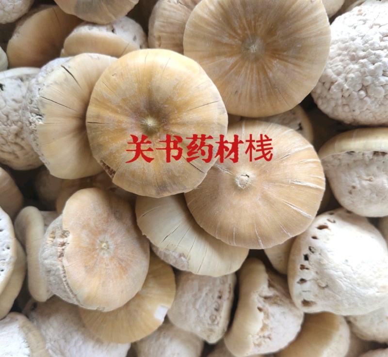 壮阳果，选关书药材批发各种