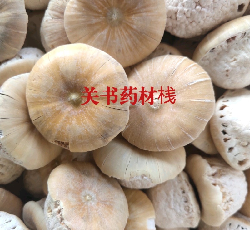 壮阳果，选关书药材批发各种