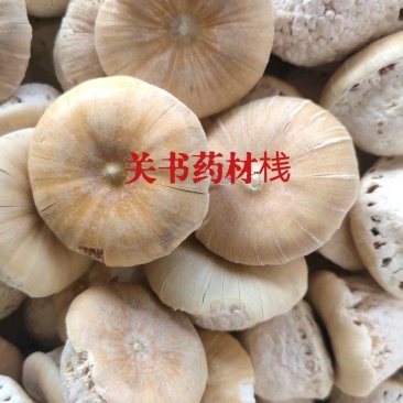 壮阳果，选关书药材批发各种