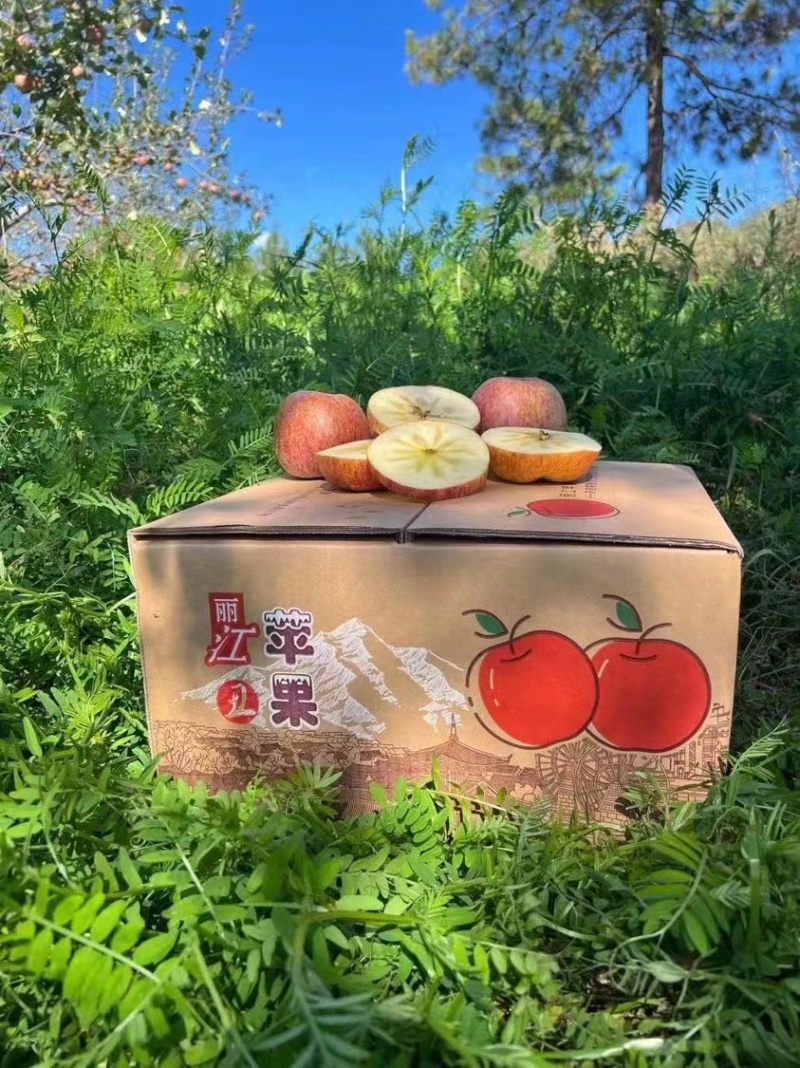 丽江丑苹果