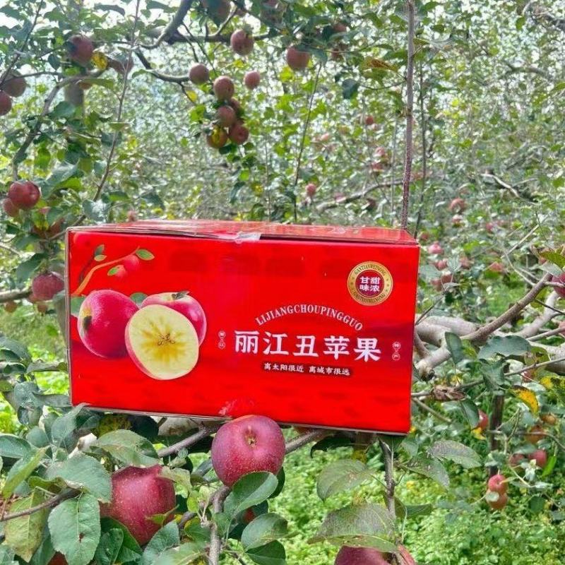 丽江丑苹果