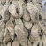 天麻乌天麻新货精选12个一斤关书药业