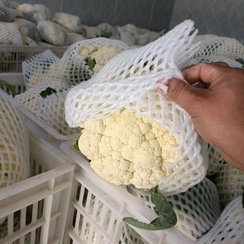 天门张港花菜
