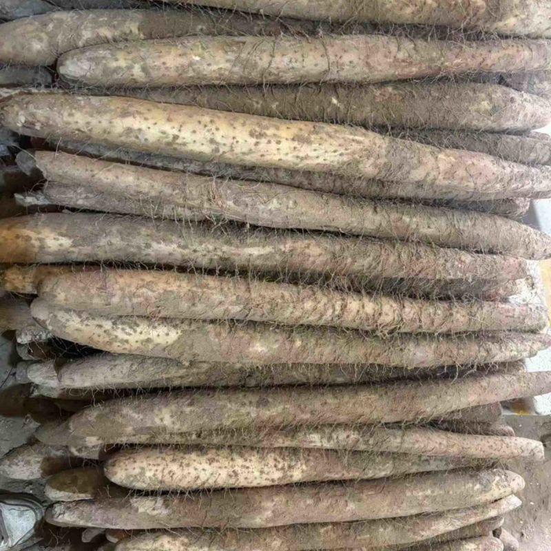 精品白玉山药河北白玉山药实力代办一条龙服务欢迎咨询