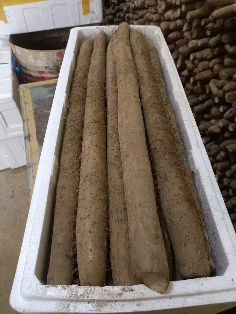 精品白玉山药河北白玉山药实力代办一条龙服务欢迎咨询