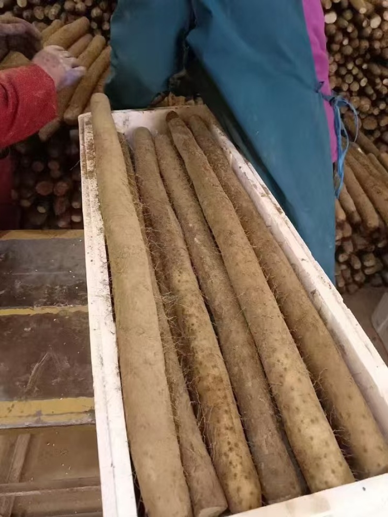 精品白玉山药河北白玉山药实力代办一条龙服务欢迎咨询