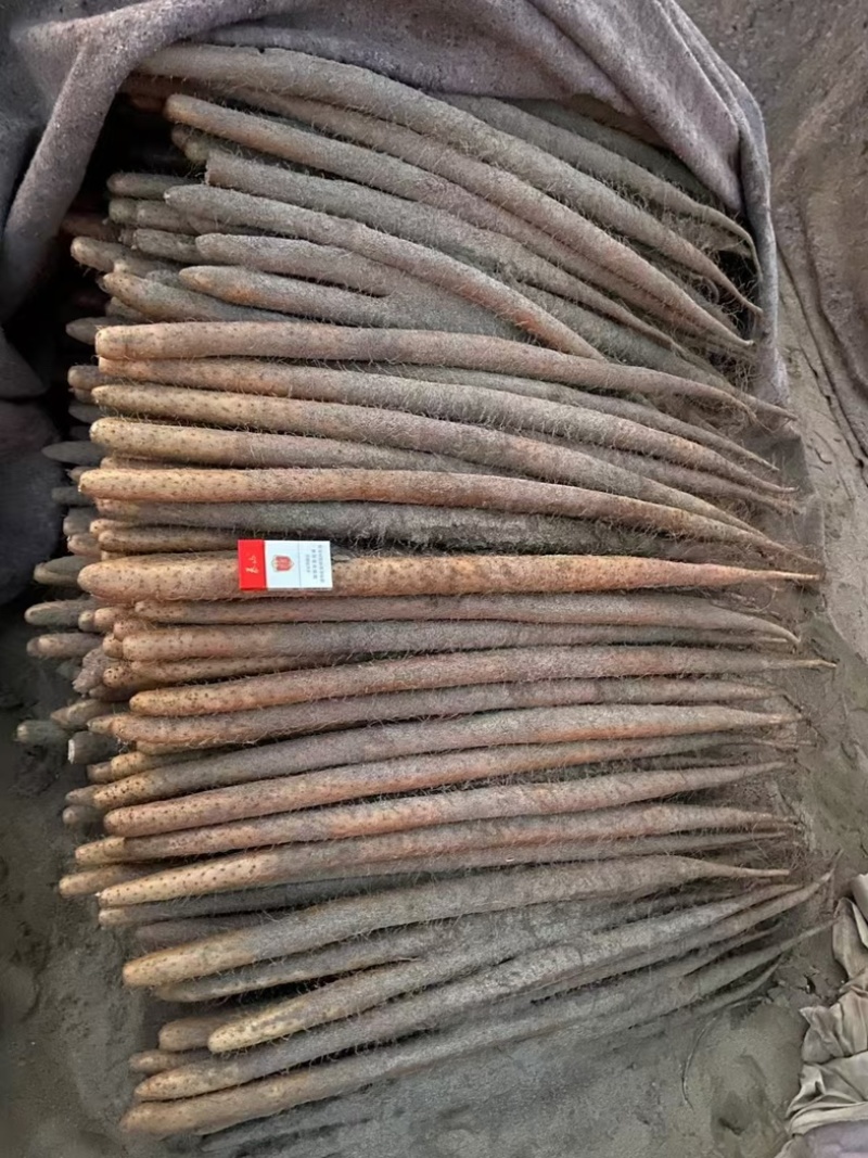 双棒山药规格齐全河北双棒山药一条龙服务欢迎采购